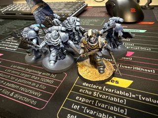 Guardia de Honor Victrix Space Marine
