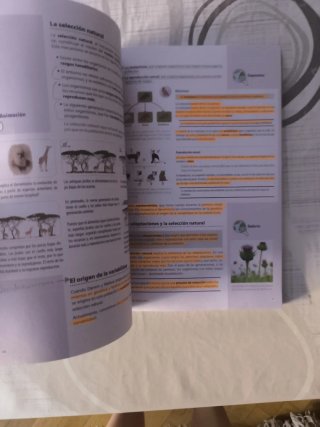 Biología y geología 4 ESO