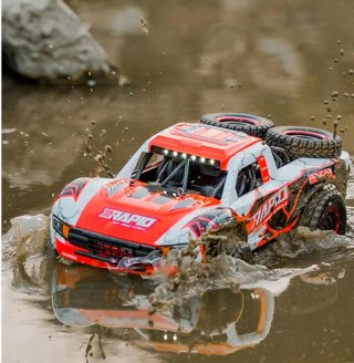 Coche RC 1/14 Desert Monster