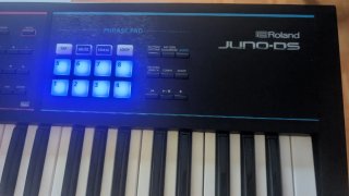 Roland Juno-DS61 Teclado Sintetizador