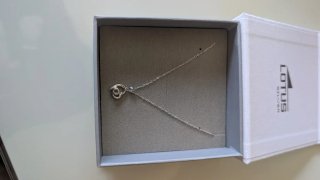 Colgante Corazón Lotus Plata
