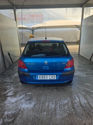Peugeot 307 2004