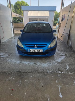 Peugeot 307 2004