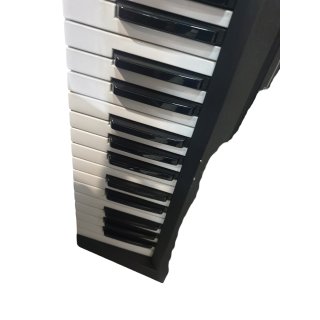 Roland E-20 Sintetizador Teclado 94153