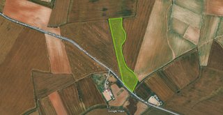 Terreno agrícola en Gibraleón (Huelva): 11.549m2