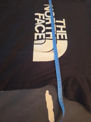 Camiseta the north face