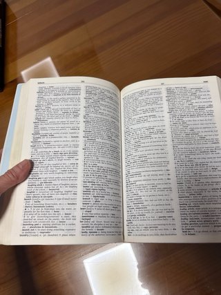 Diccionario didáctico inglés