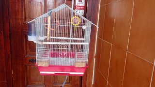 Jaula para pájaros con pie