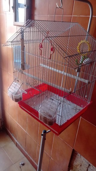 Jaula para pájaros con pie
