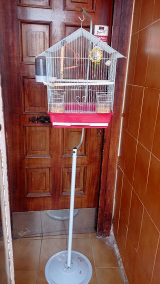 Jaula para pájaros con pie