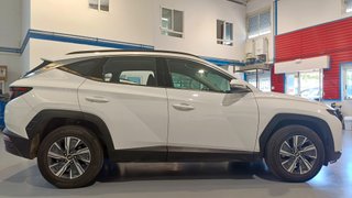 Hyundai Tucson 1.6 T-GDi HEV 230 CV Maxx Auto (202