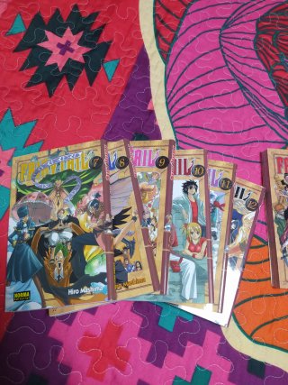 Fairy Tail mangas 1-12