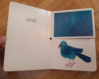 Mi primer libro de los colores
