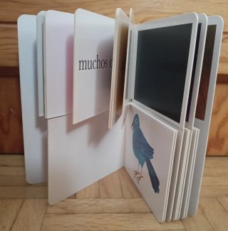 Mi primer libro de los colores