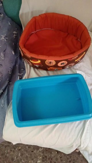 Cama para mascotas y arenero