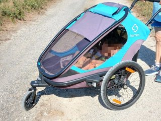 Carro bici gemelar Hamax