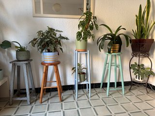 Taburetes para plantas de madera y metal