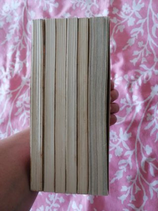 6 LIBROS: El Pirata Garrapata