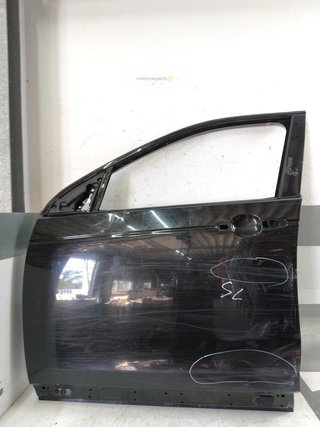 Puerta delantera izquierda 204DTD
