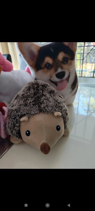 Lote 7 peluches nuevos