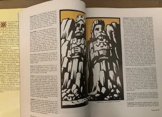 Libro y comic el señor de los anillos