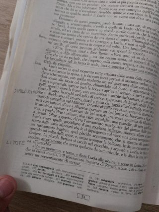I Promessi sposi. Con schede di lavoro