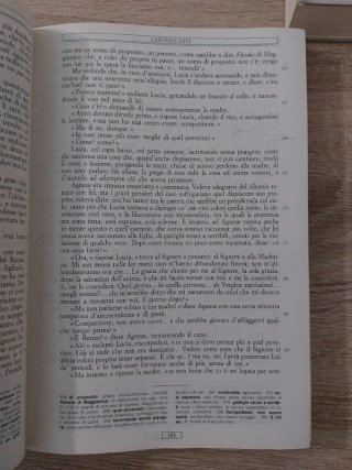 I Promessi sposi. Con schede di lavoro