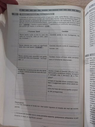 I Promessi sposi. Con schede di lavoro