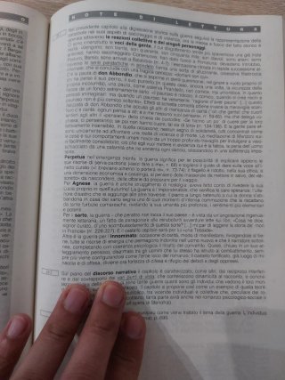 I Promessi sposi. Con schede di lavoro