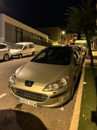 Peugeot 407 sw tipo-d-RHR 2004