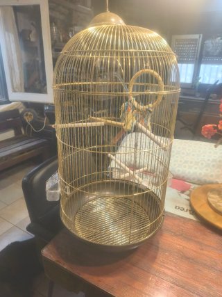 Jaula redonda dorada para pájaros