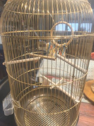 Jaula redonda dorada para pájaros