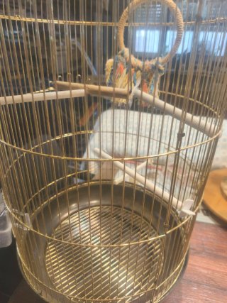 Jaula redonda dorada para pájaros
