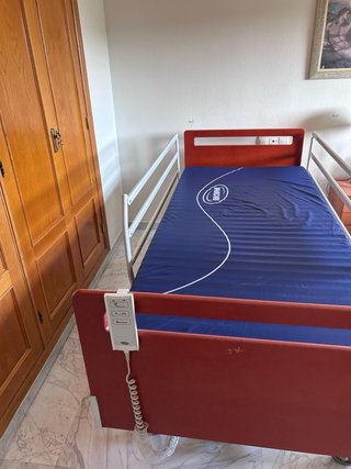 Cama Articulada Eléctrica Invacare Alegio NG