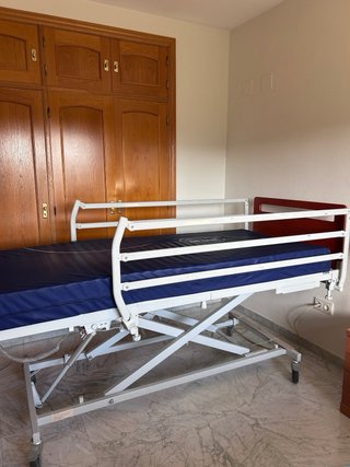 Cama Articulada Eléctrica Invacare Alegio NG
