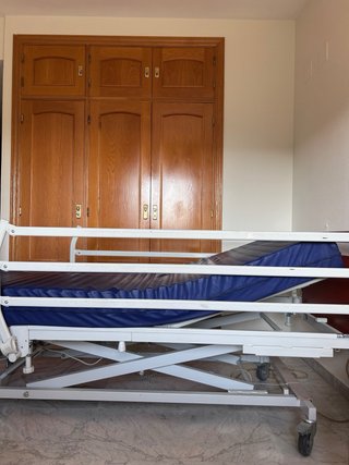 Cama Articulada Eléctrica Invacare Alegio NG
