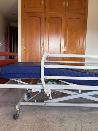 Cama Articulada Eléctrica Invacare Alegio NG