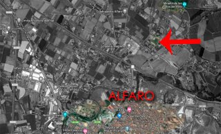 Se vende Nave agrícola  y plantación de olivo