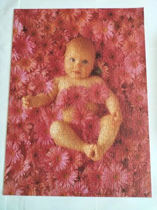 Puzzle 1000 piezas Anne Geddes Bebé entre flores