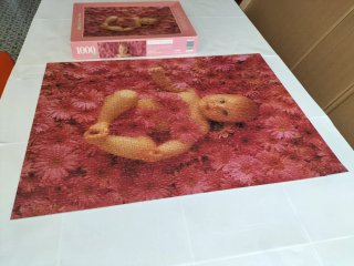 Puzzle 1000 piezas Anne Geddes Bebé entre flores