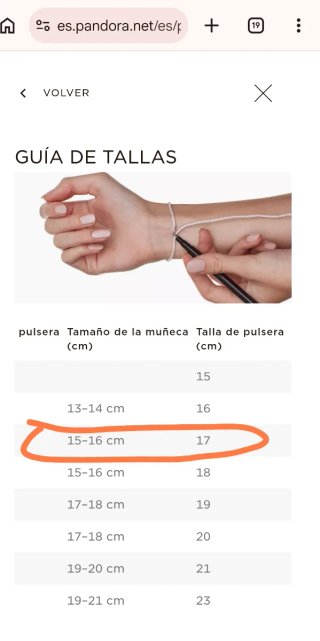 Pulsera Pandora Moments 17 cm Plata