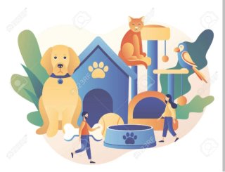 Cuidadora de animales de compañía