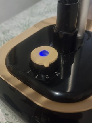 Plancha Vertical Rowenta Pro Style IS3420