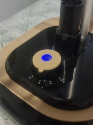 Plancha Vertical Rowenta Pro Style IS3420