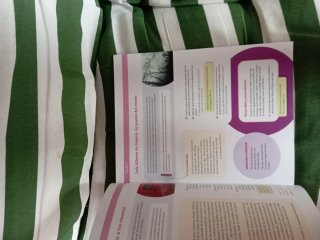 Lengua Castellana y Literatura, 2 ESO, Proyecto...