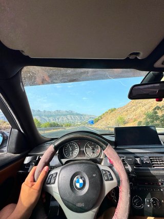 BMW Serie 3 2006