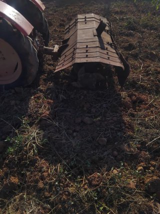 Tractor Pasquali