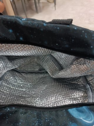Mochila con ruedas y asa extensible