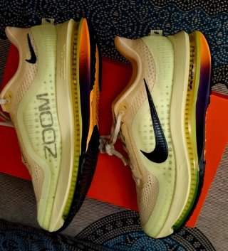 Zapatillas nike pegasus premium n°41
