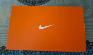 Zapatillas nike pegasus premium n°41